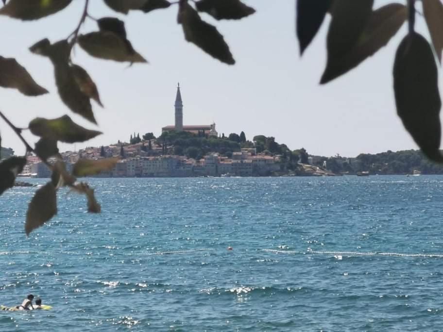 Studio Apartment Rosemary Rovinj Exterior foto