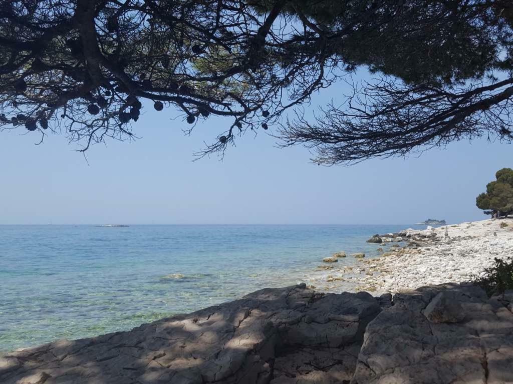 Studio Apartment Rosemary Rovinj Exterior foto